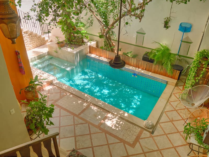 Cozy backyard pool surrounded by greenery and tiled flooring.