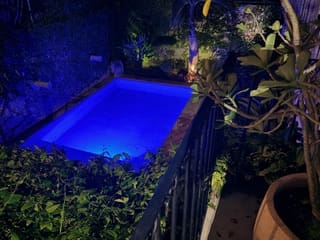 A small, illuminated swimming pool surrounded by plants at night.