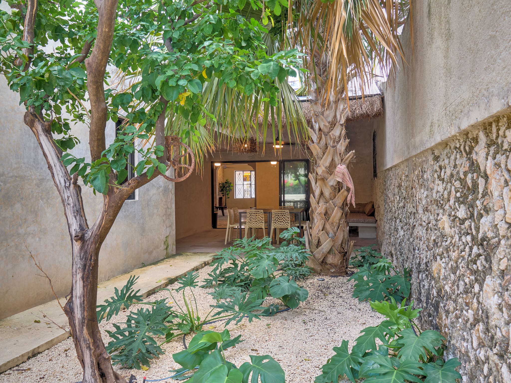 Cozy outdoor space with tropical plants and a wooden door.
