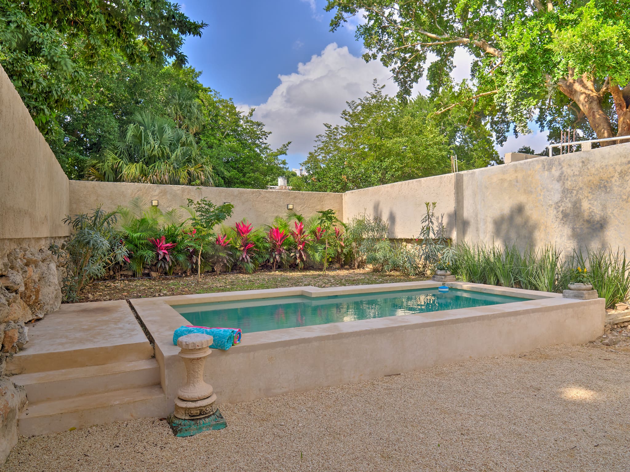 A small pool surrounded by plants and a beige wall under a blue sky.