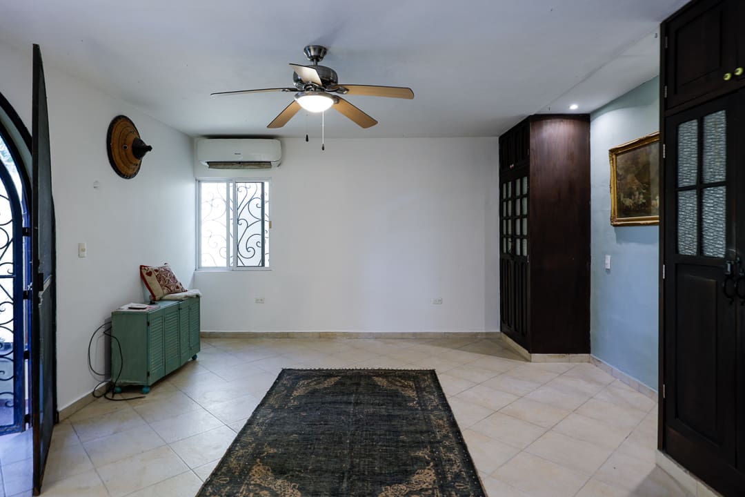 Minimalist living room with ceiling fan, rug, and green sofa.