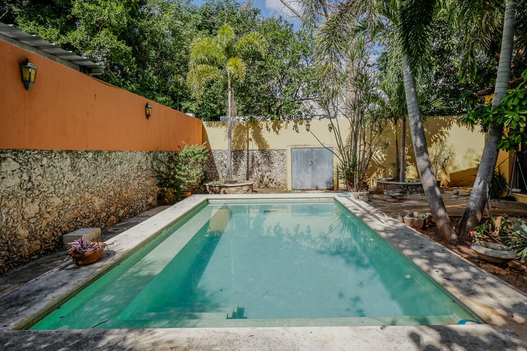 A serene backyard pool surrounded by trees and a yellow wall.