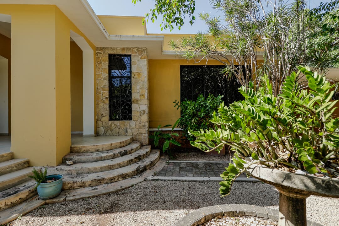 Yellow house entrance with curved steps and lush greenery.