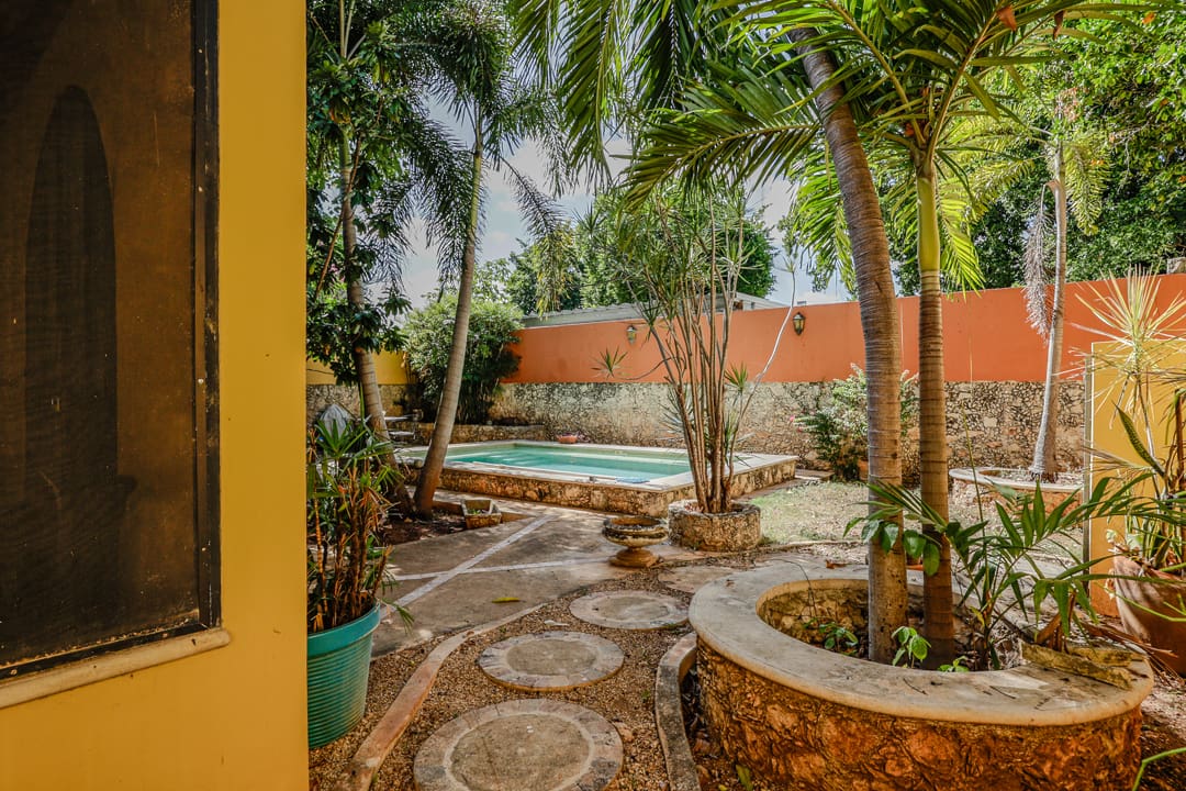 A tropical backyard with a pool surrounded by palm trees and stone pathways.