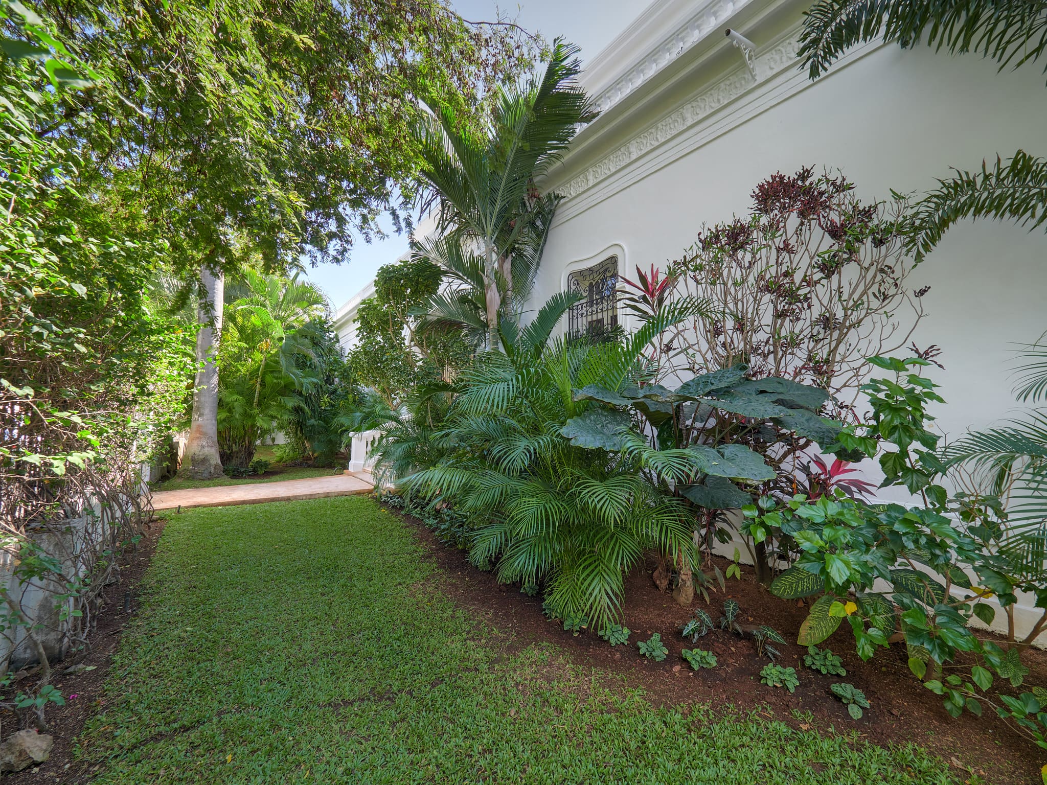 Lush garden with tropical plants alongside a white building.