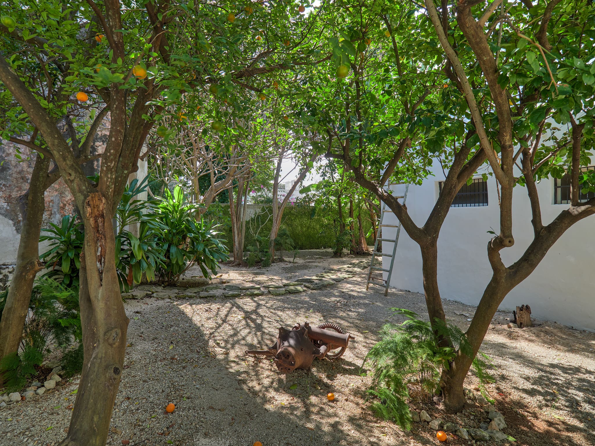 A peaceful garden with trees and a small fire pit.