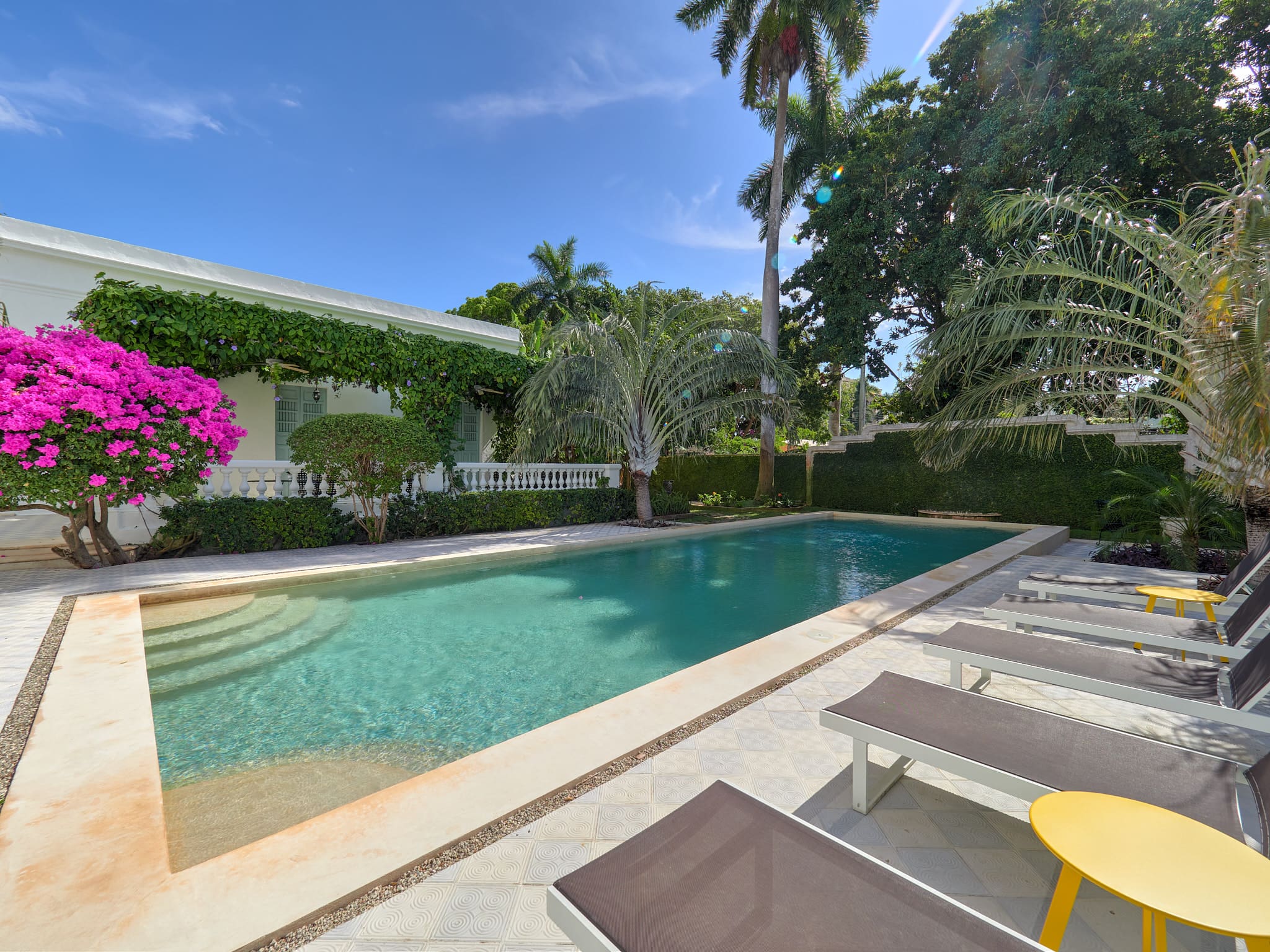 Sunny backyard with a pool, lounge chairs, and lush greenery.