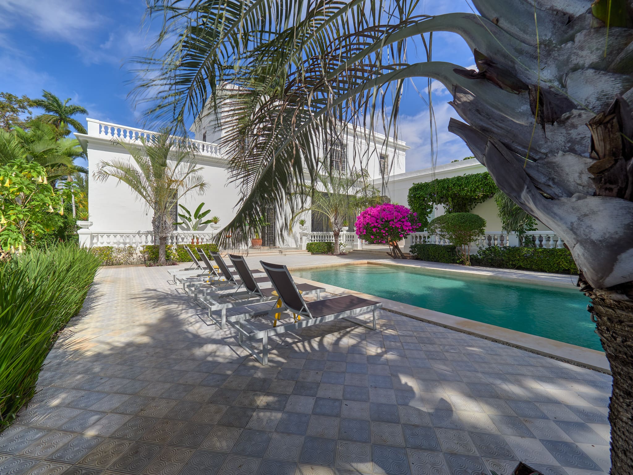 Sunny poolside area with lounge chairs and palm trees.