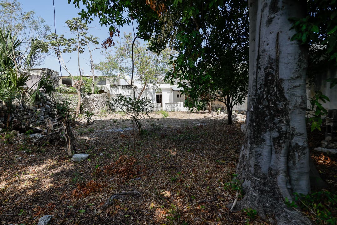 Calle 65 Lot-4