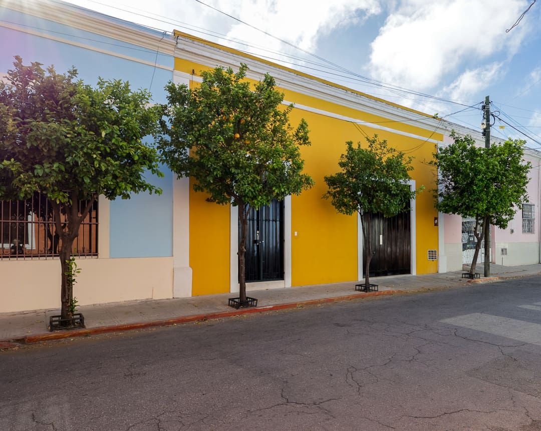 Colorful buildings with trees along a quiet street on a sunny day.