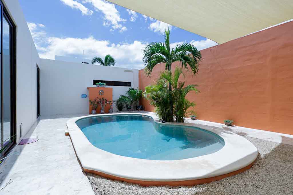 Small backyard pool with palm trees under a blue sky.