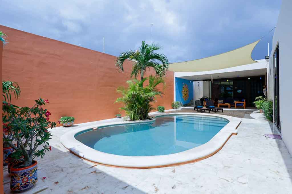 Modern outdoor pool area with palm tree and open lounge space.