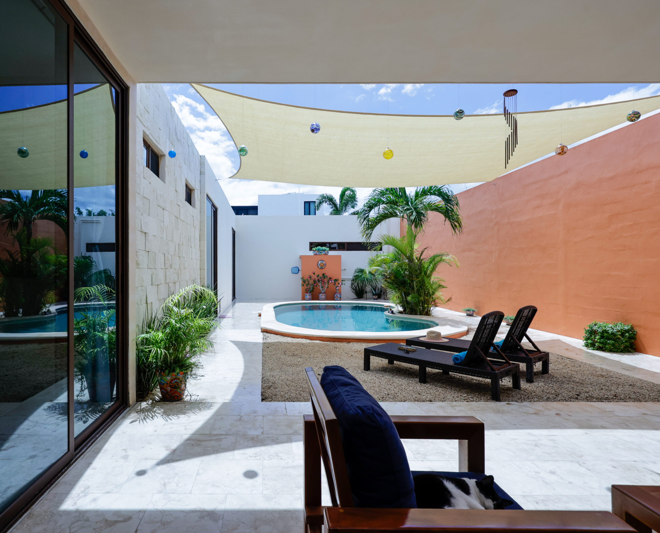 Modern backyard with pool, lounge chairs, and plants under string lights.