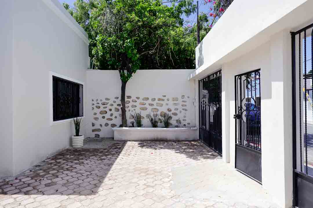 Bright courtyard with white walls and plants under a clear sky.