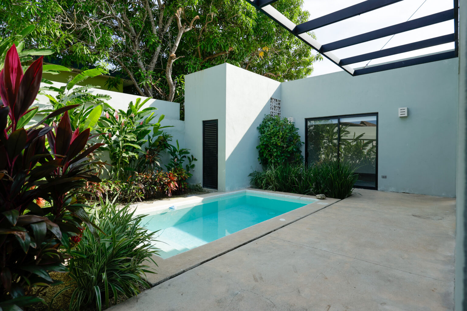 Modern backyard with a small rectangular pool and lush greenery.