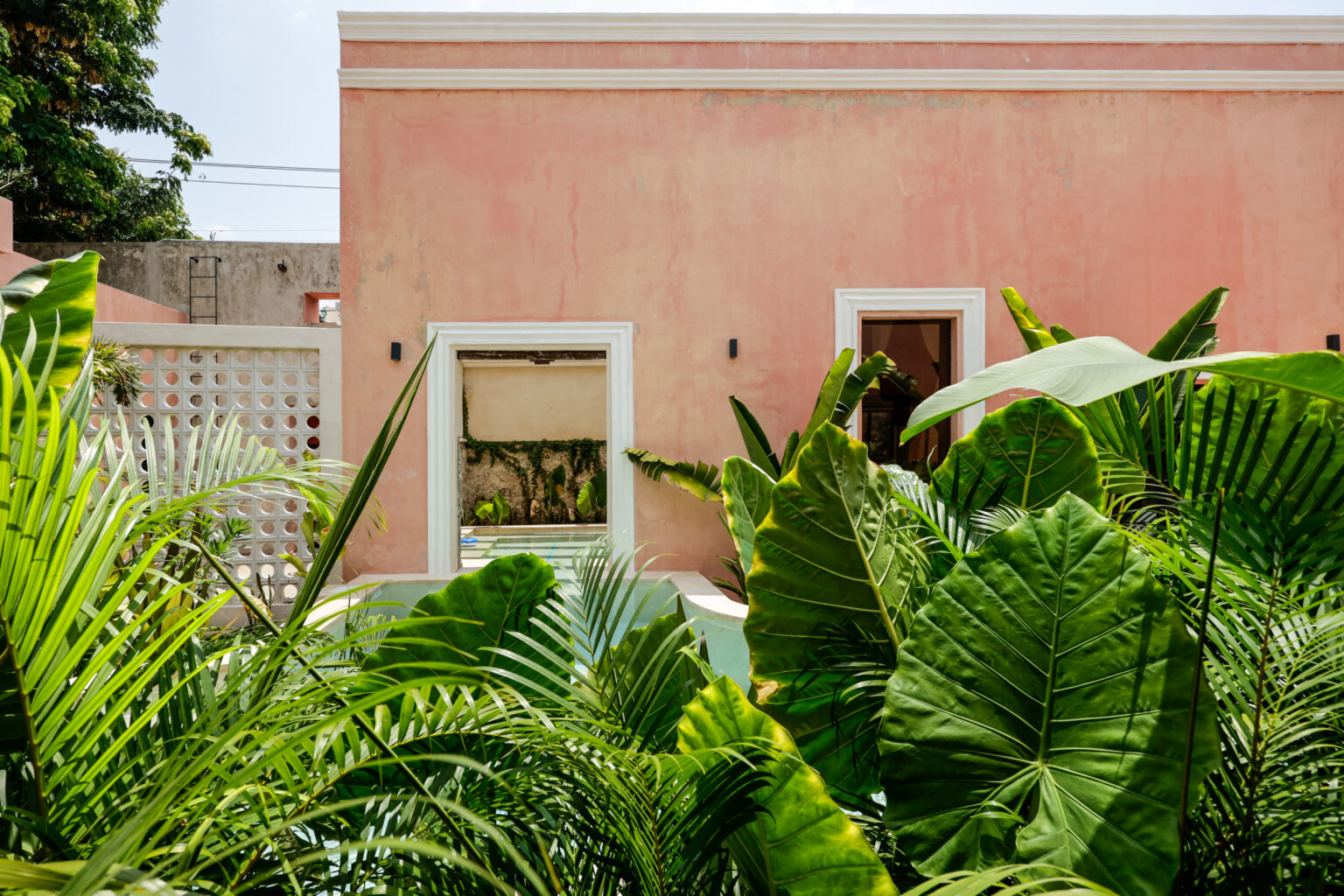 Pink building partially obscured by lush green plants in a sunny setting.