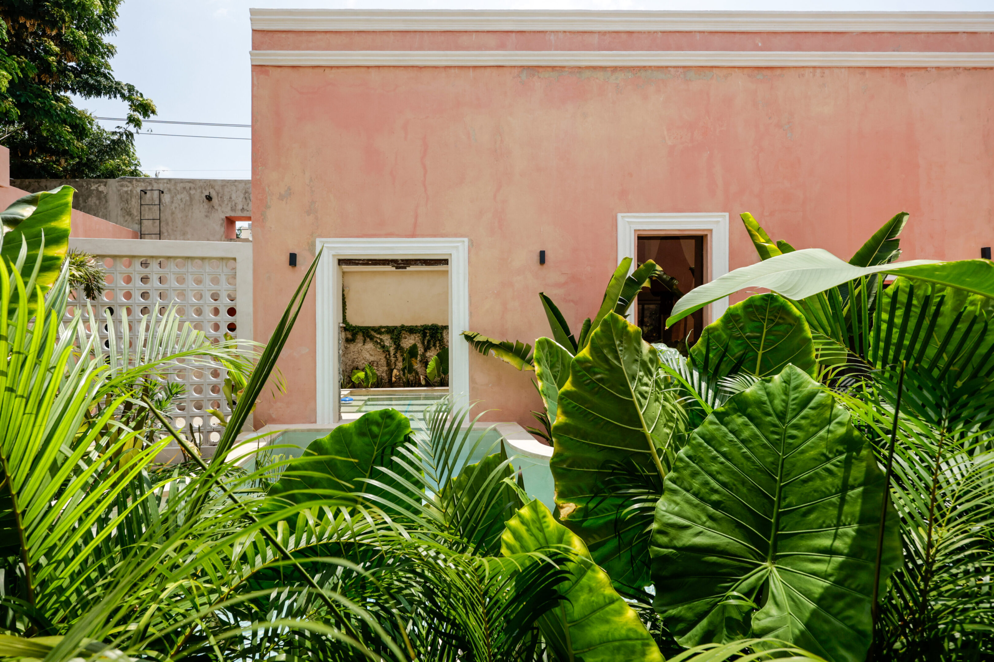 Pink building partially obscured by lush green plants in a sunny setting.
