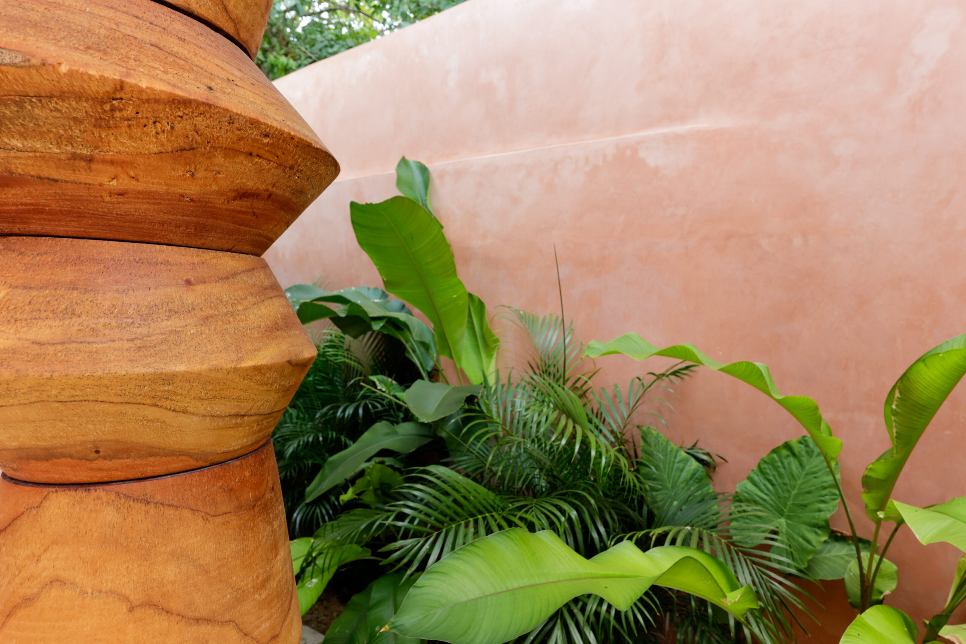 Green plants nestled beside a terracotta wall and wooden post.