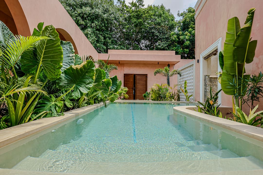 Modern house with a clear swimming pool and lush greenery.