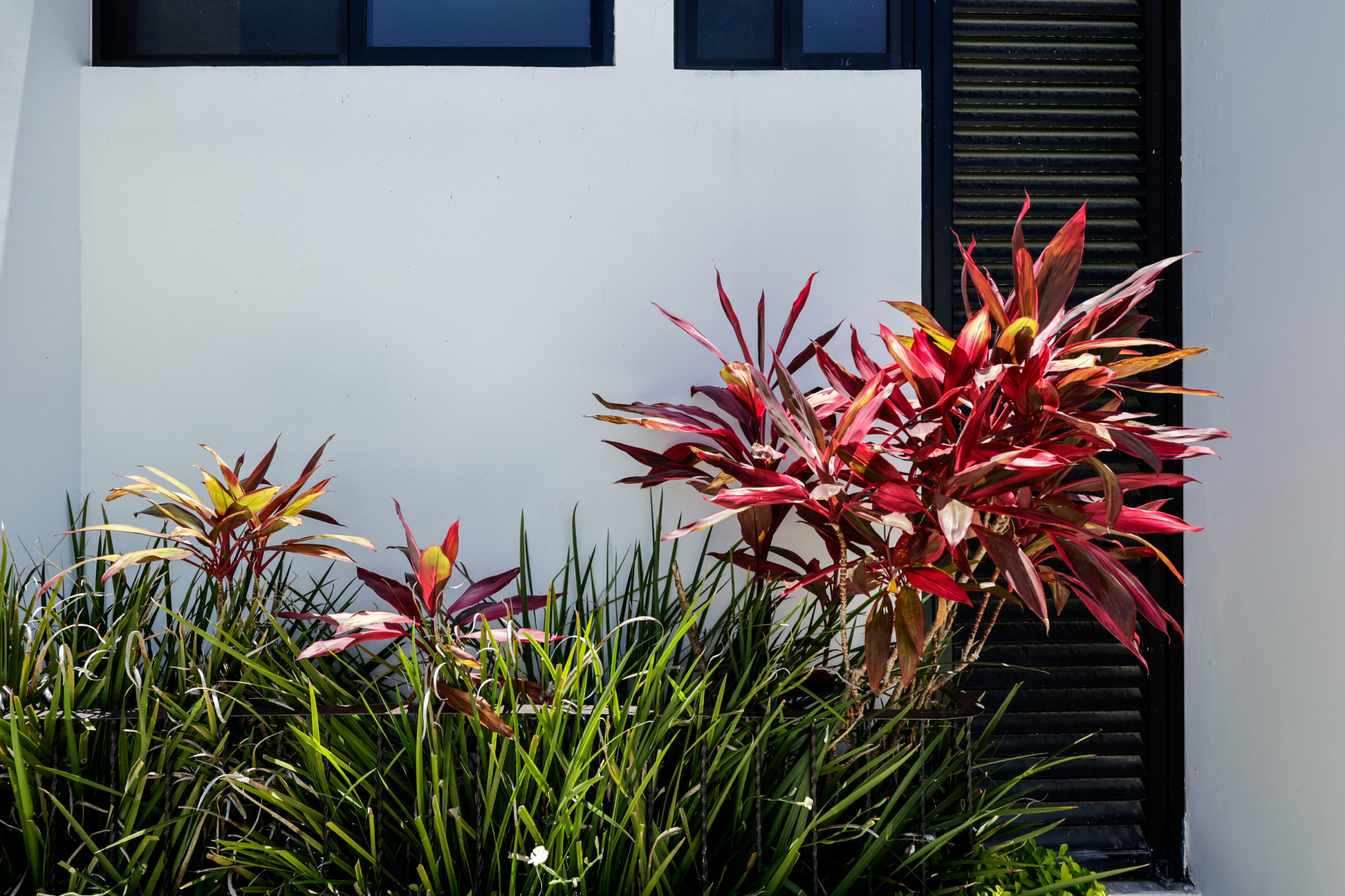 A modern building with vibrant red foliage and green plants in front.