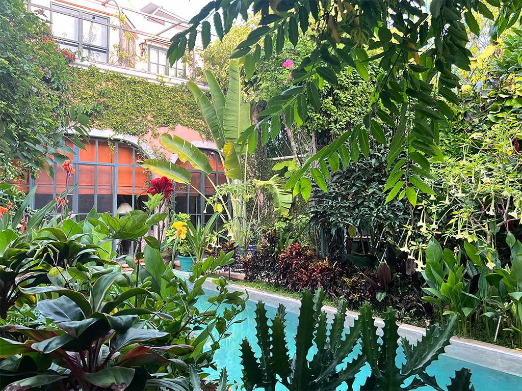 Lush courtyard with pool and tropical plants