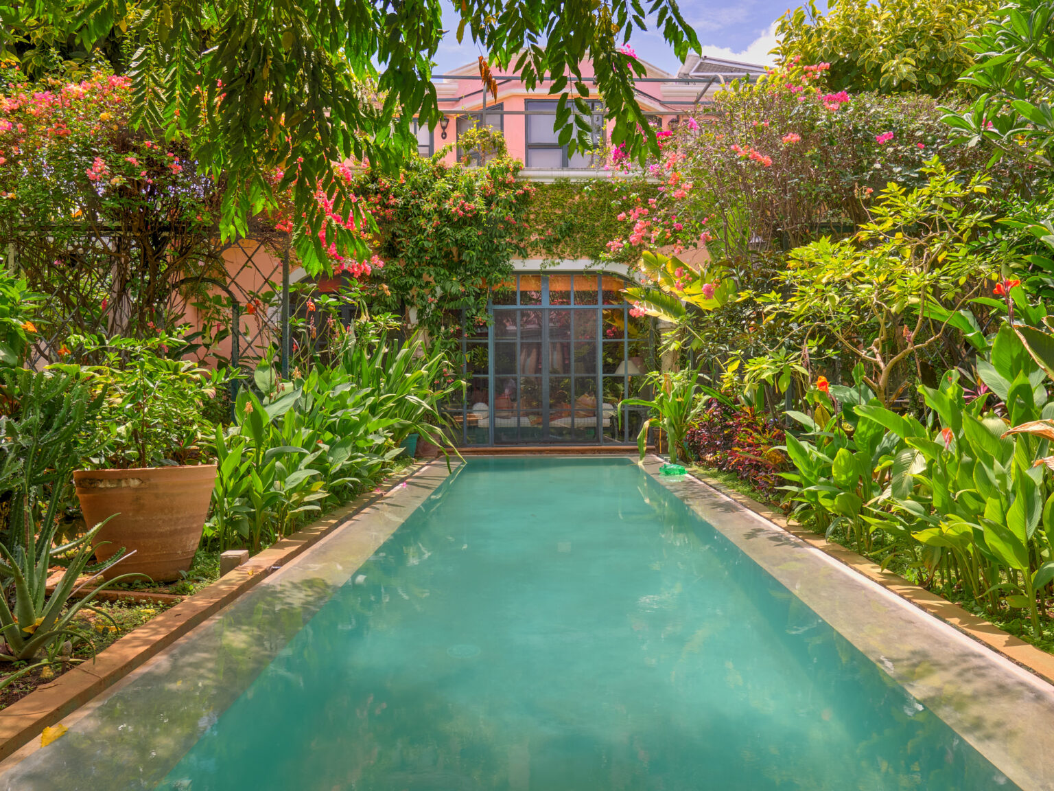Lush garden with narrow rectangular swimming pool