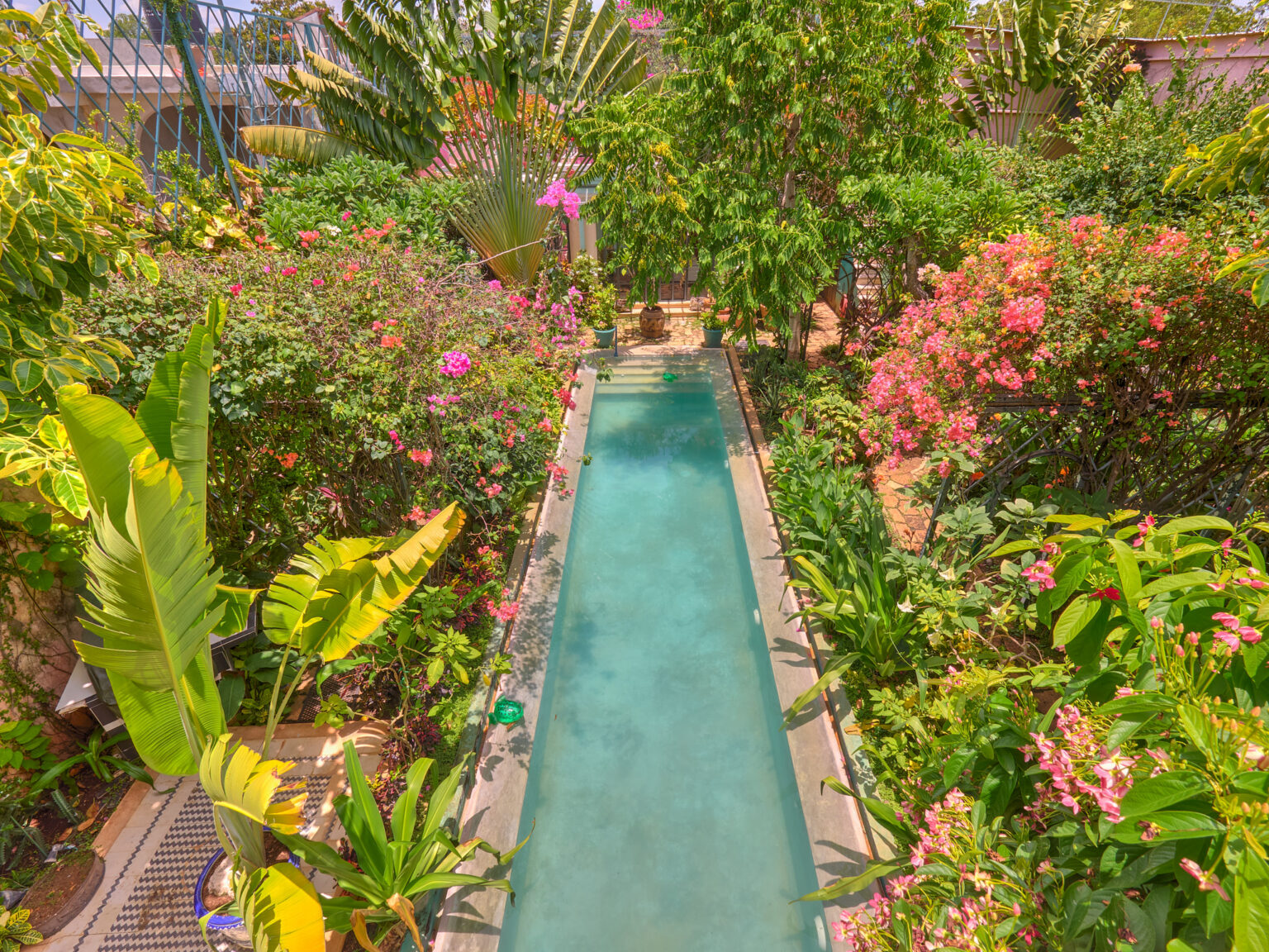 Narrow reflecting pool in lush tropical garden