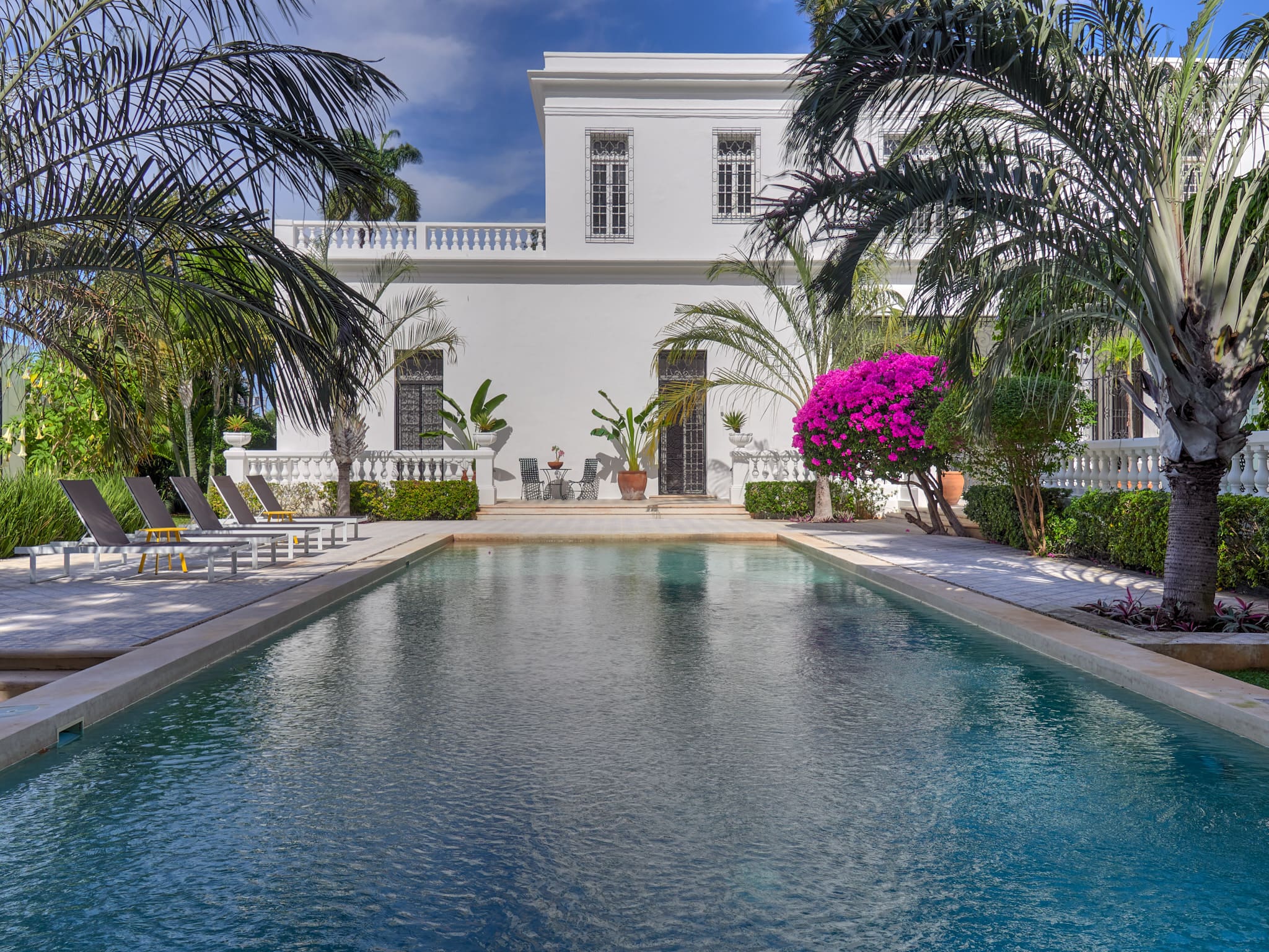 Luxury white villa with pool and palms