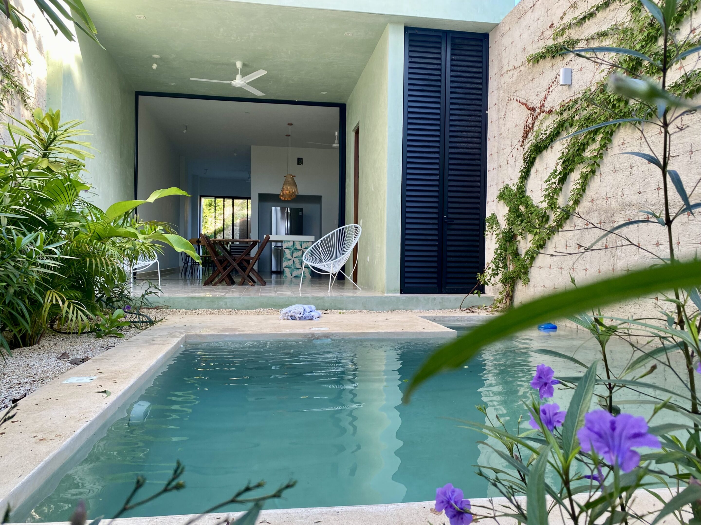 Small courtyard pool with tropical plants