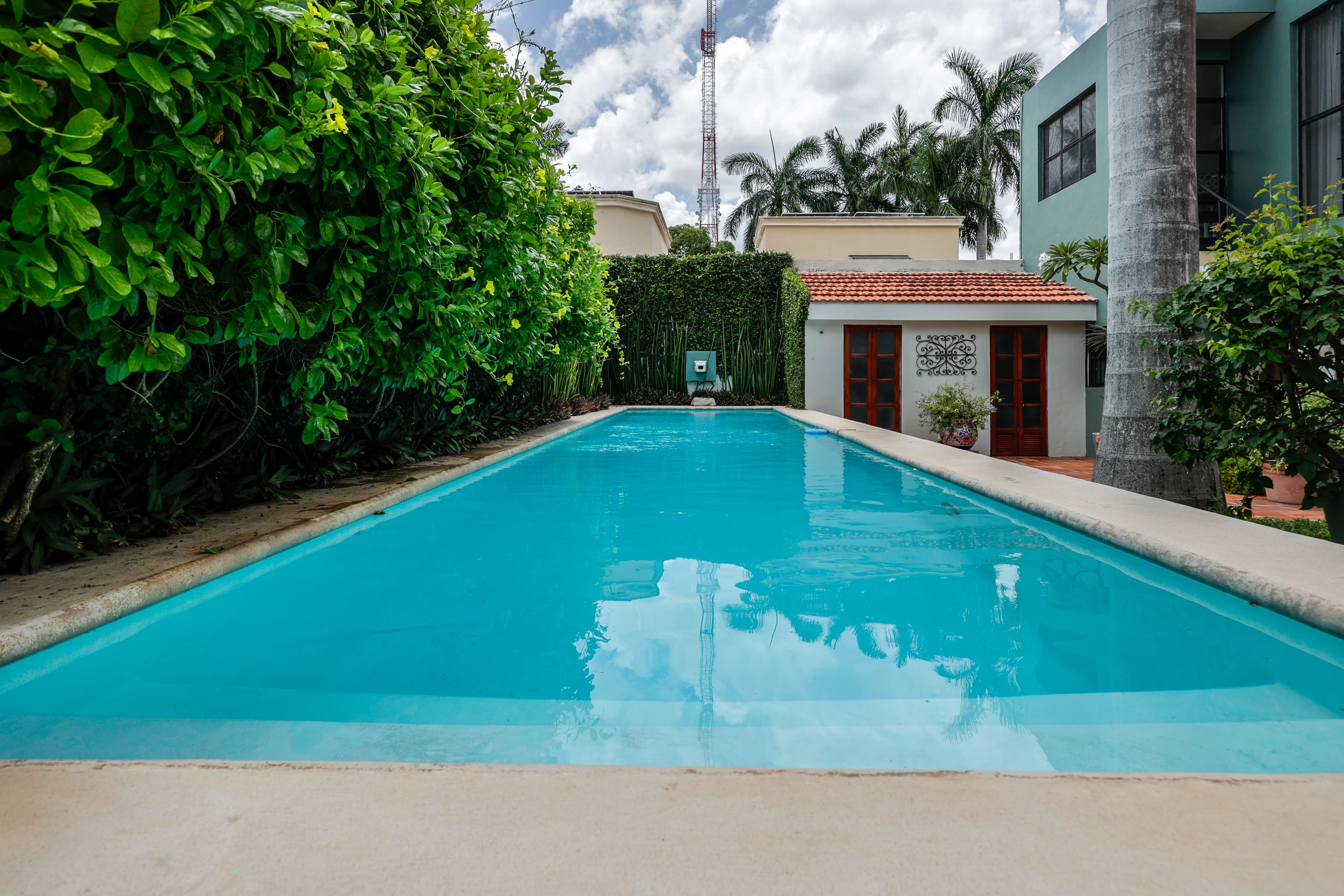 Backyard swimming pool with pool house and palms