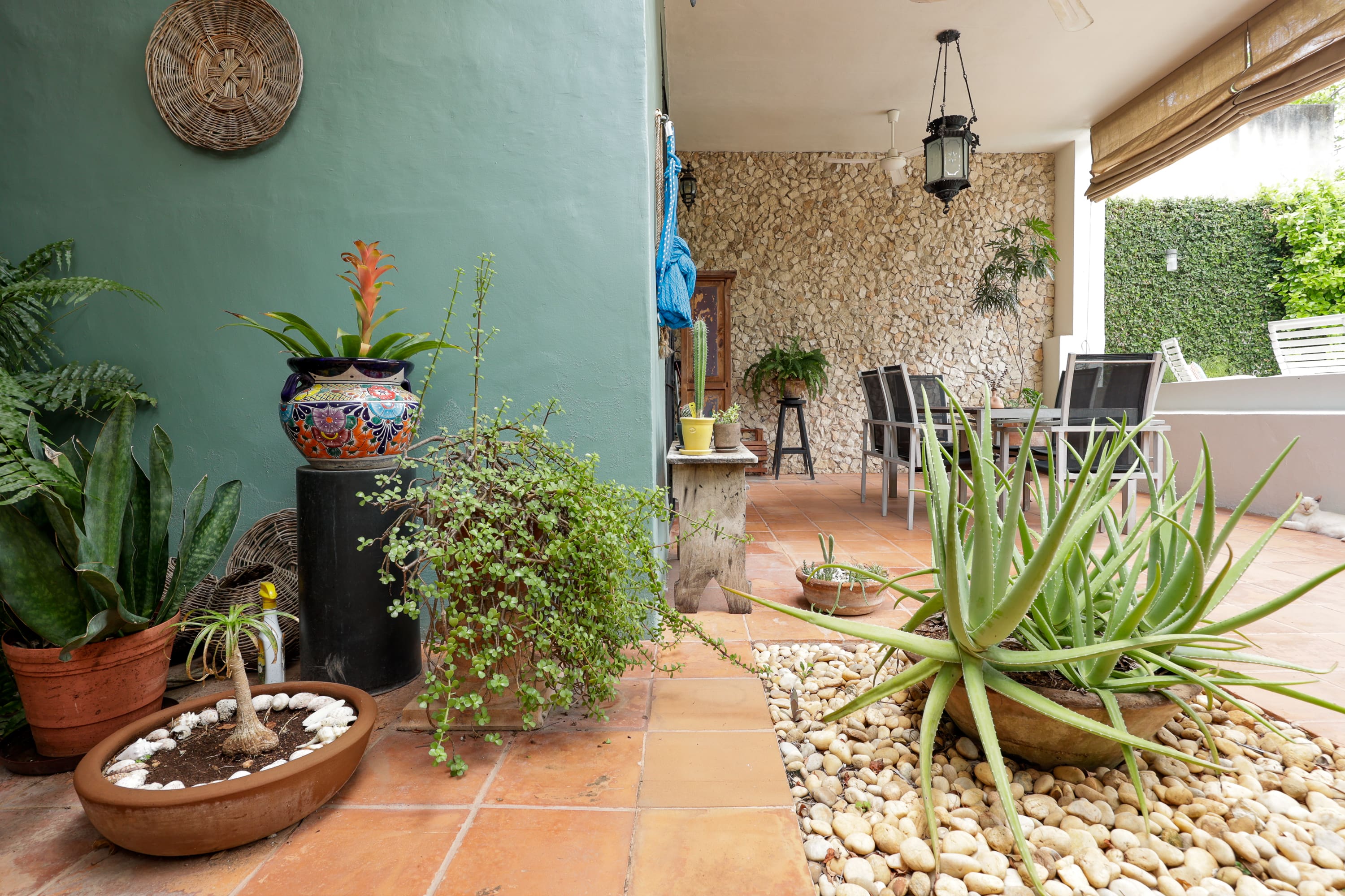 Terracotta tiled patio with potted succulents