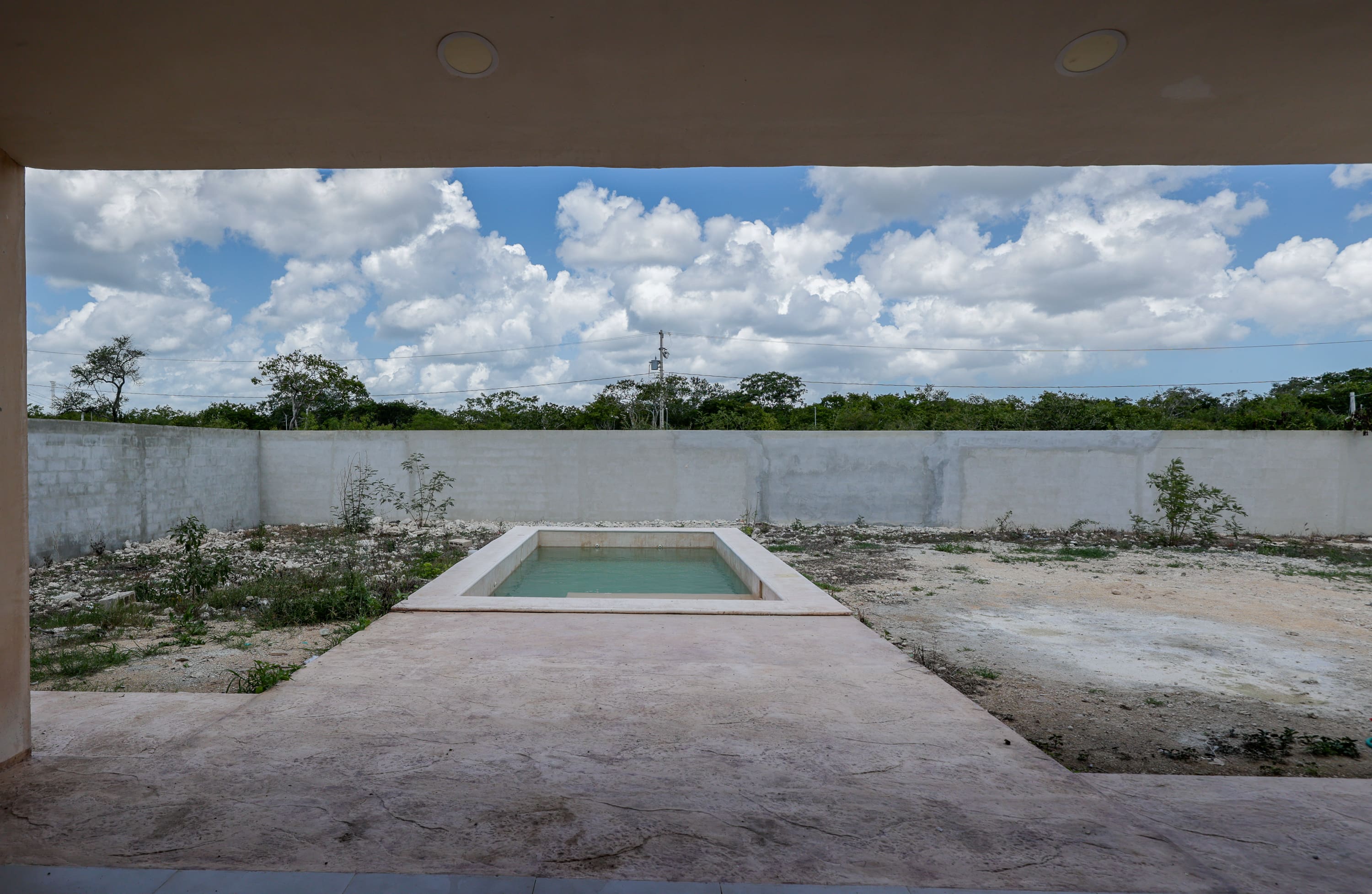 Small rectangular pool in walled backyard
