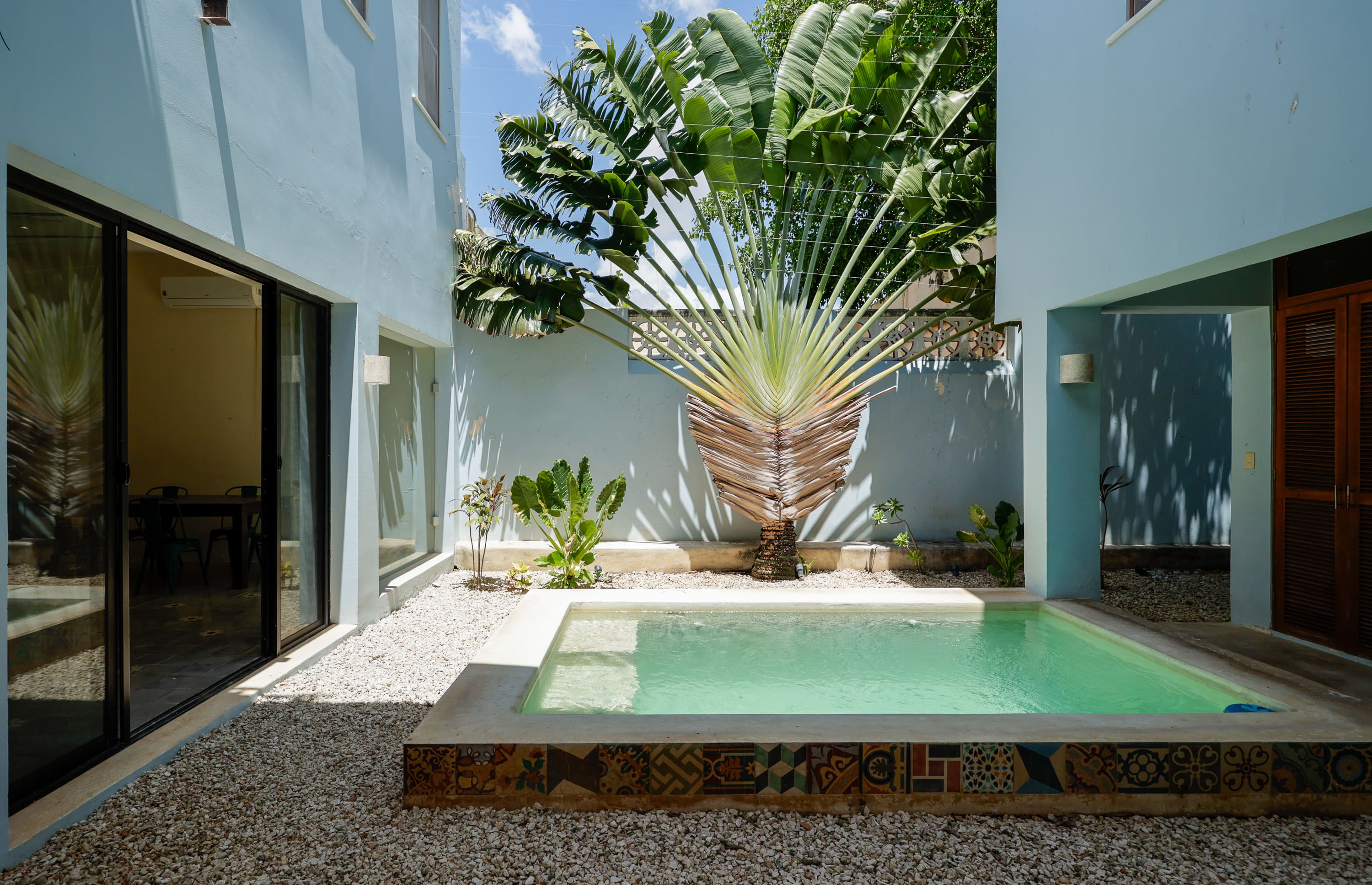 Courtyard pool with fan palm and blue walls